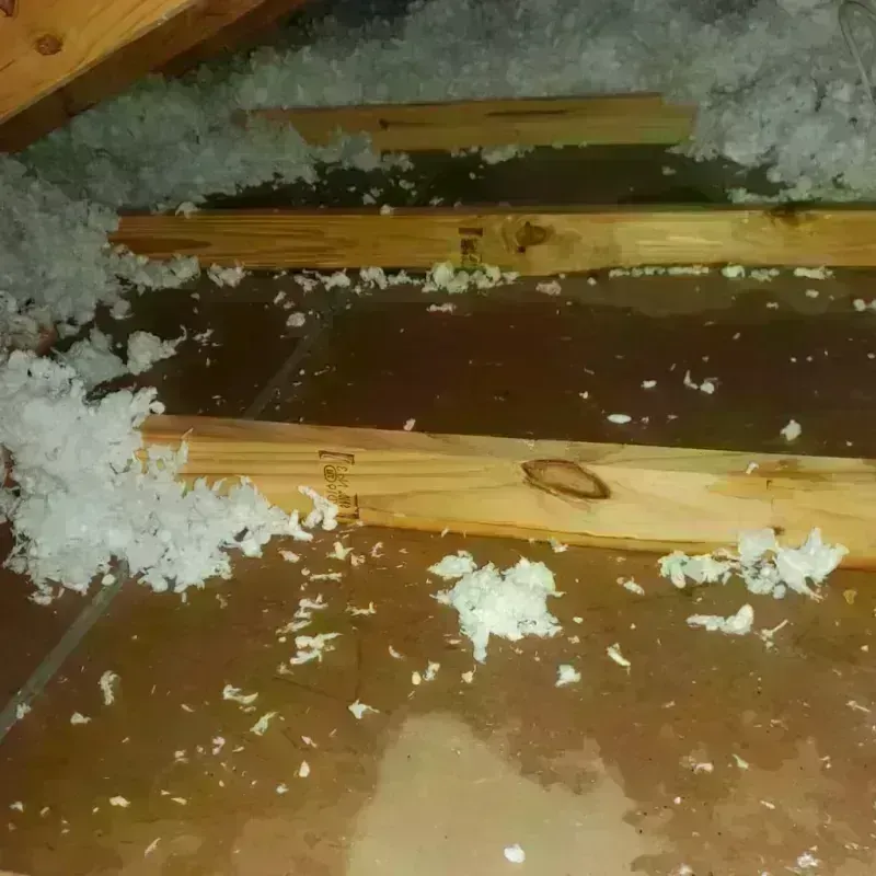 Attic Water Damage in Little Valley, NY